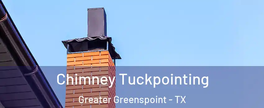 Chimney Tuckpointing Greater Greenspoint - TX