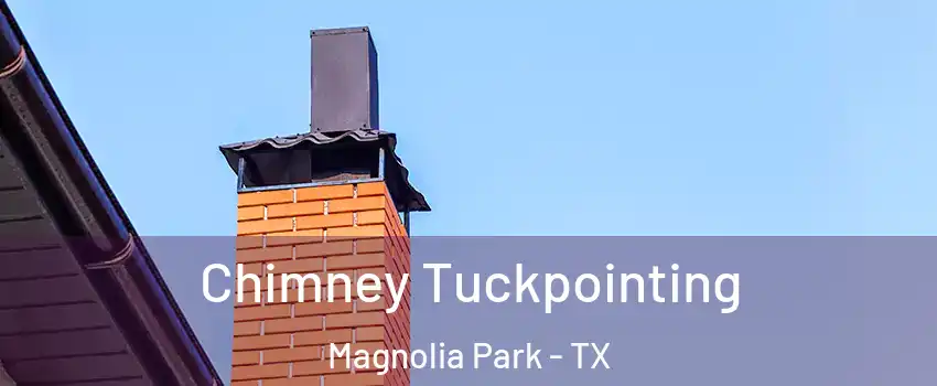 Chimney Tuckpointing Magnolia Park - TX