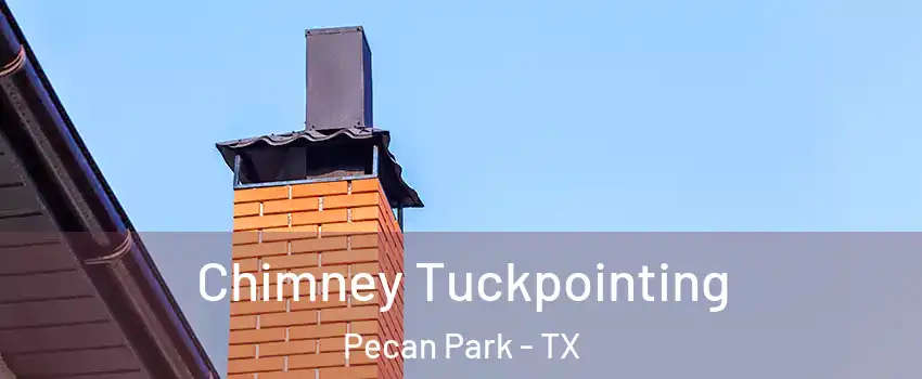 Chimney Tuckpointing Pecan Park - TX