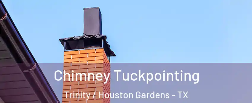 Chimney Tuckpointing Trinity / Houston Gardens - TX