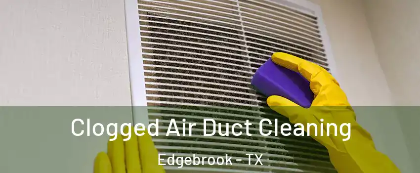 Clogged Air Duct Cleaning Edgebrook - TX