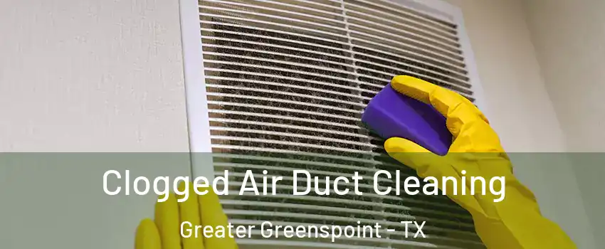 Clogged Air Duct Cleaning Greater Greenspoint - TX