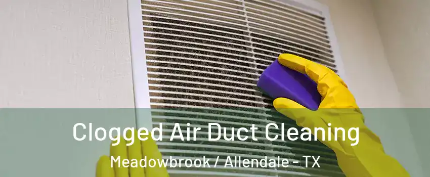 Clogged Air Duct Cleaning Meadowbrook / Allendale - TX