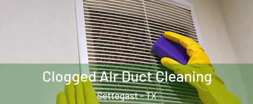 Clogged Air Duct Cleaning Settegast - TX