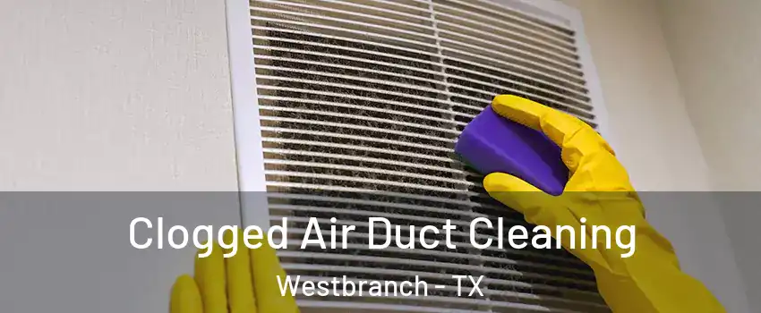 Clogged Air Duct Cleaning Westbranch - TX