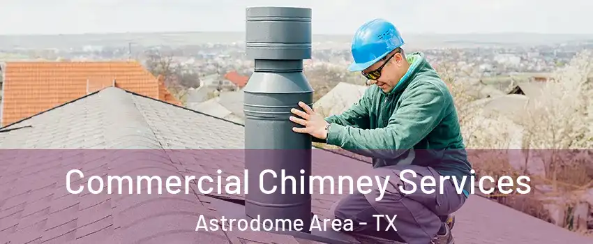 Commercial Chimney Services Astrodome Area - TX