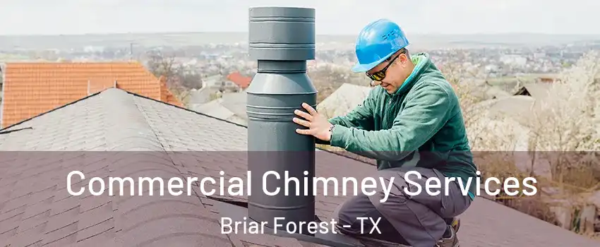 Commercial Chimney Services Briar Forest - TX