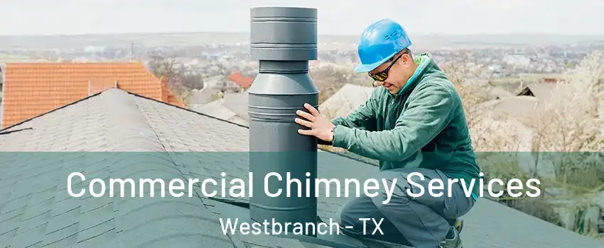 Commercial Chimney Services Westbranch - TX