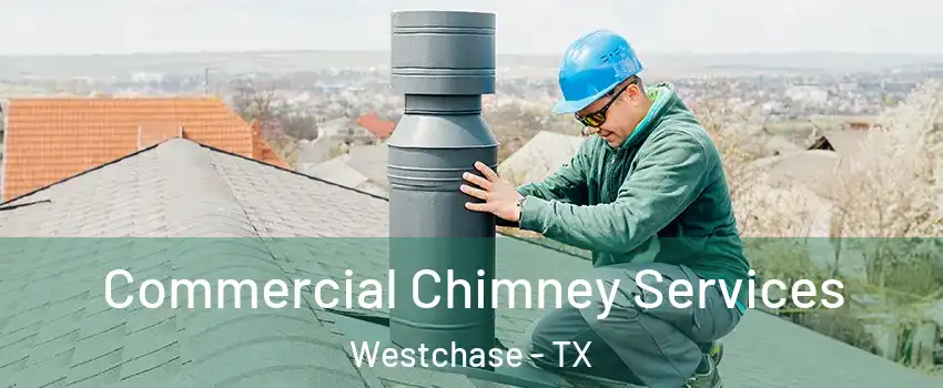 Commercial Chimney Services Westchase - TX
