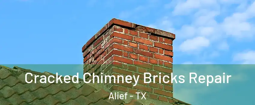 Cracked Chimney Bricks Repair Alief - TX