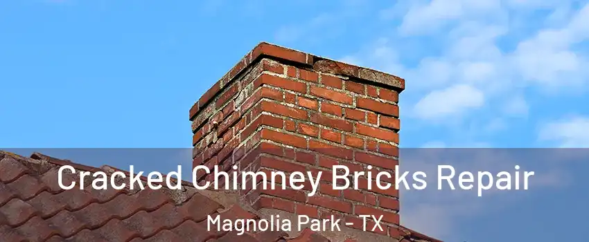 Cracked Chimney Bricks Repair Magnolia Park - TX