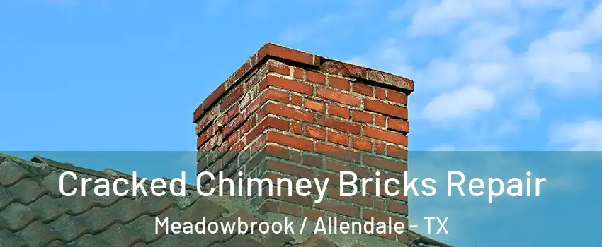 Cracked Chimney Bricks Repair Meadowbrook / Allendale - TX