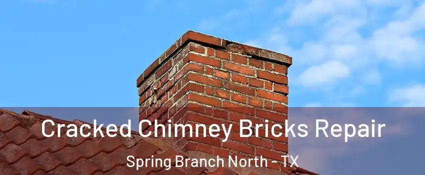 Cracked Chimney Bricks Repair Spring Branch North - TX