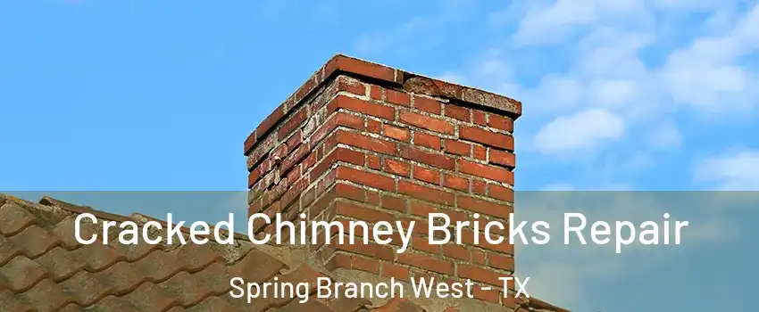Cracked Chimney Bricks Repair Spring Branch West - TX