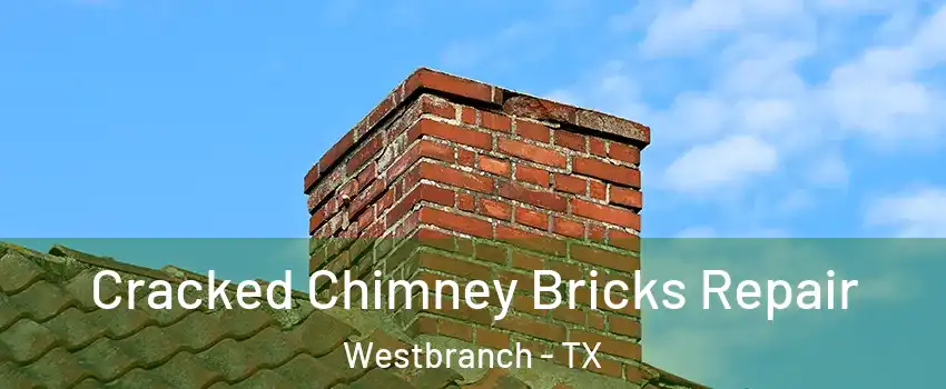 Cracked Chimney Bricks Repair Westbranch - TX