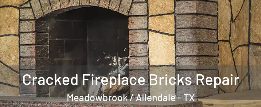 Cracked Fireplace Bricks Repair Meadowbrook / Allendale - TX