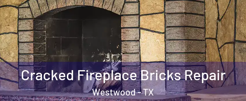 Cracked Fireplace Bricks Repair Westwood - TX
