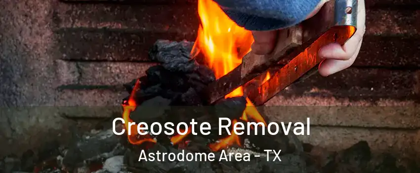 Creosote Removal Astrodome Area - TX