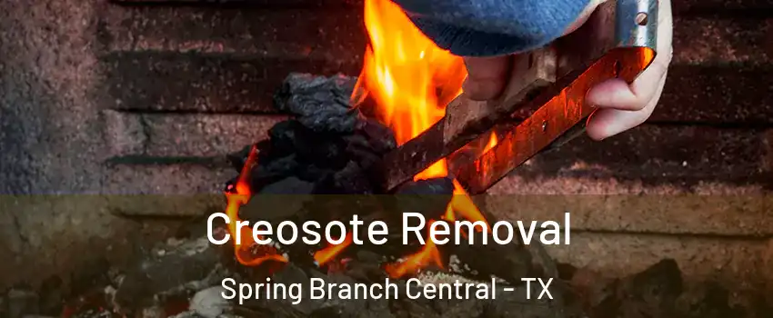 Creosote Removal Spring Branch Central - TX