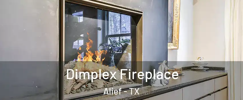 Dimplex Fireplace Alief - TX