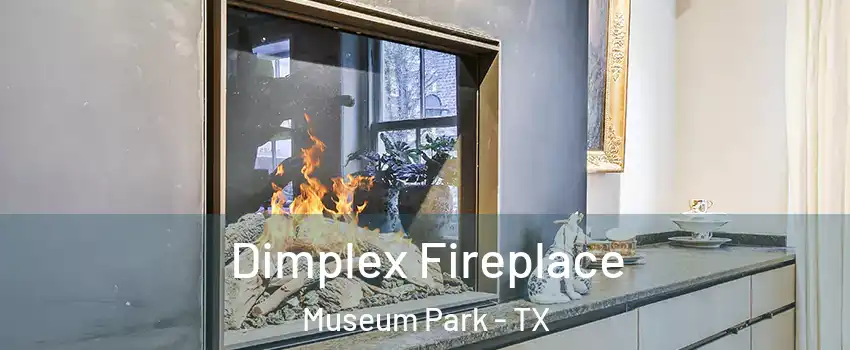 Dimplex Fireplace Museum Park - TX