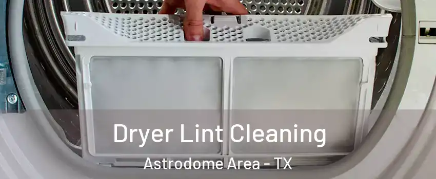 Dryer Lint Cleaning Astrodome Area - TX