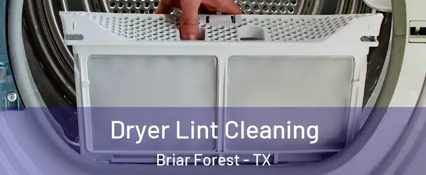 Dryer Lint Cleaning Briar Forest - TX