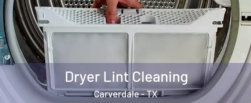 Dryer Lint Cleaning Carverdale - TX