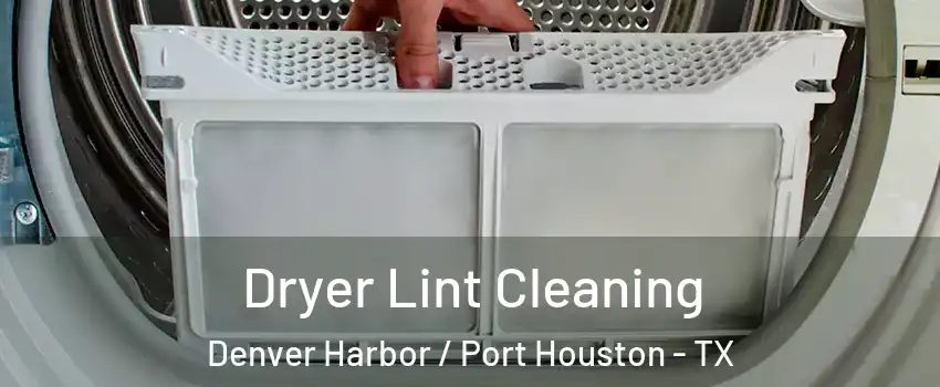 Dryer Lint Cleaning Denver Harbor / Port Houston - TX