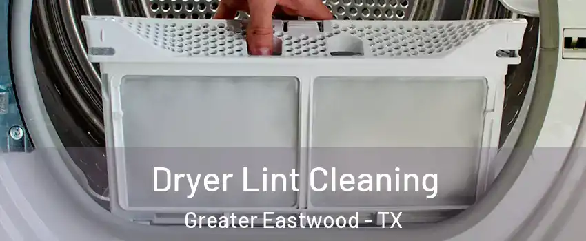 Dryer Lint Cleaning Greater Eastwood - TX
