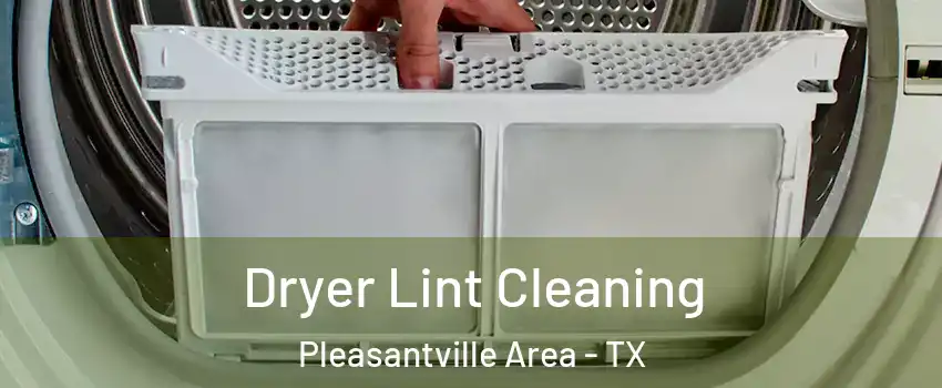 Dryer Lint Cleaning Pleasantville Area - TX