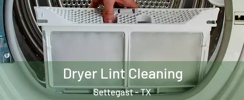 Dryer Lint Cleaning Settegast - TX