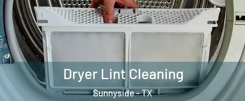 Dryer Lint Cleaning Sunnyside - TX