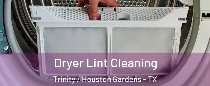 Dryer Lint Cleaning Trinity / Houston Gardens - TX