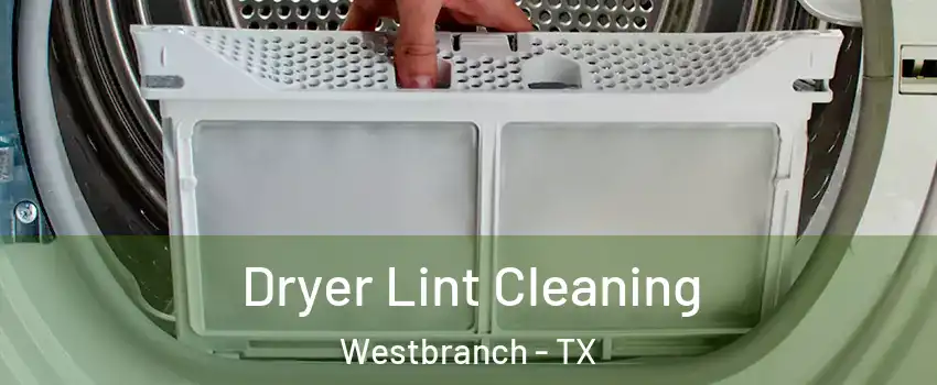 Dryer Lint Cleaning Westbranch - TX