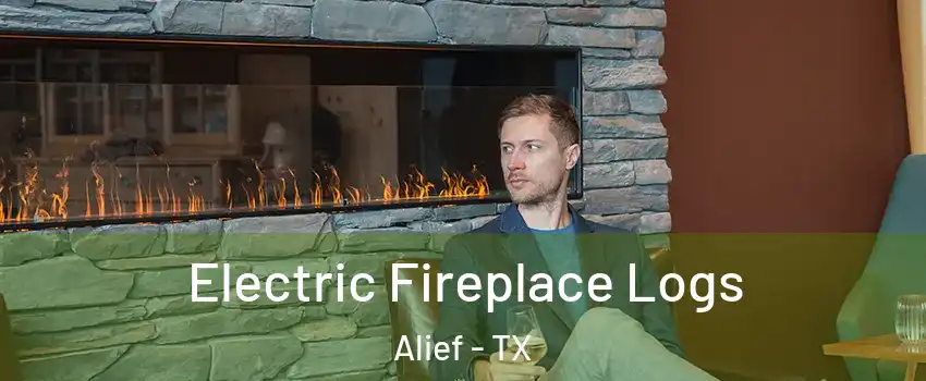 Electric Fireplace Logs Alief - TX