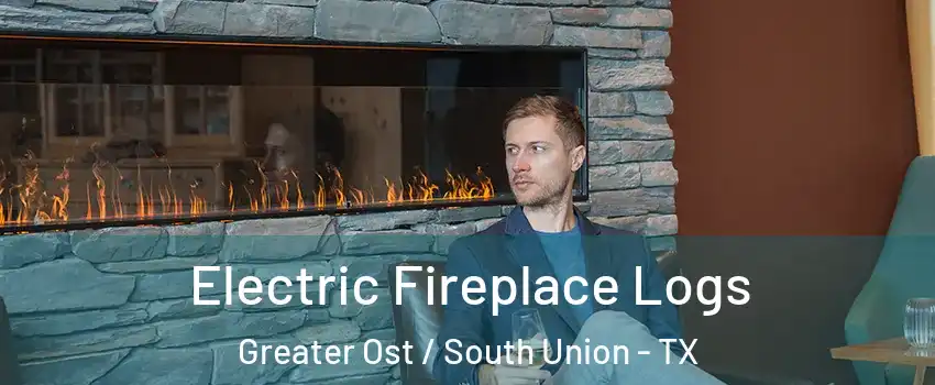 Electric Fireplace Logs Greater Ost / South Union - TX