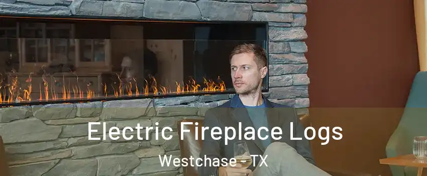Electric Fireplace Logs Westchase - TX
