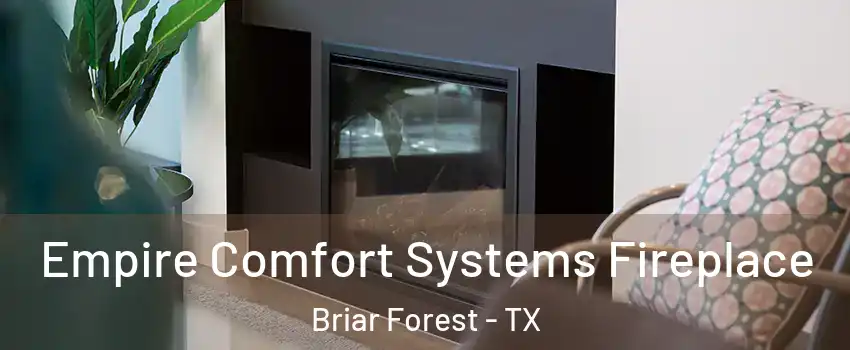 Empire Comfort Systems Fireplace Briar Forest - TX