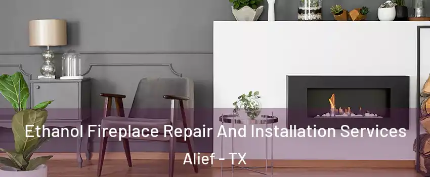 Ethanol Fireplace Repair And Installation Services Alief - TX