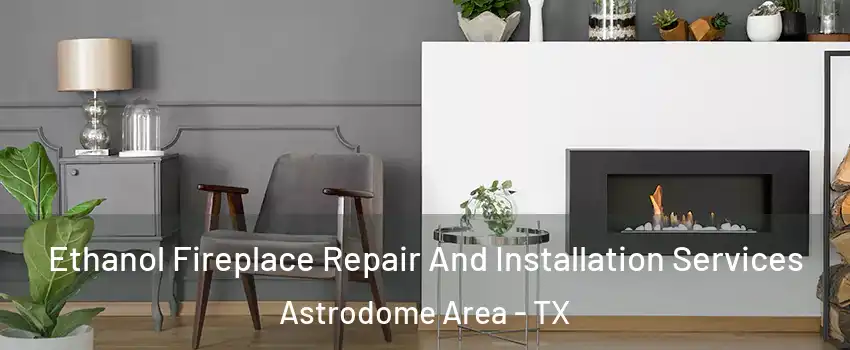 Ethanol Fireplace Repair And Installation Services Astrodome Area - TX