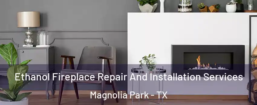 Ethanol Fireplace Repair And Installation Services Magnolia Park - TX