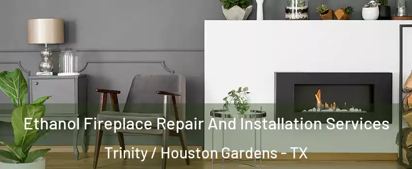 Ethanol Fireplace Repair And Installation Services Trinity / Houston Gardens - TX