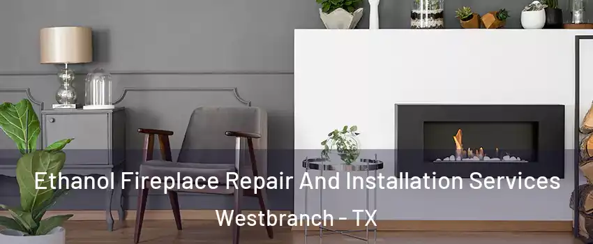 Ethanol Fireplace Repair And Installation Services Westbranch - TX