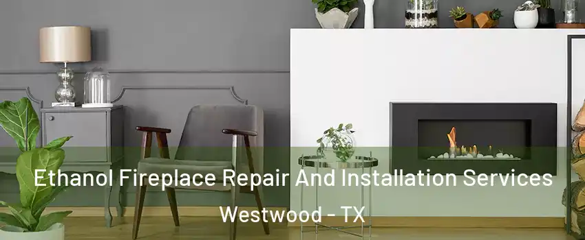 Ethanol Fireplace Repair And Installation Services Westwood - TX