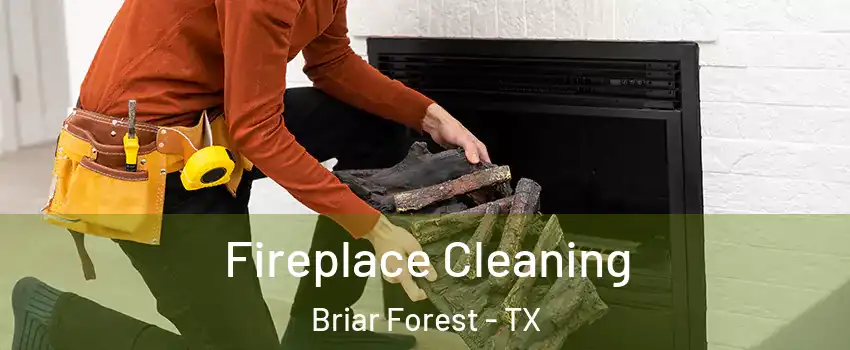 Fireplace Cleaning Briar Forest - TX