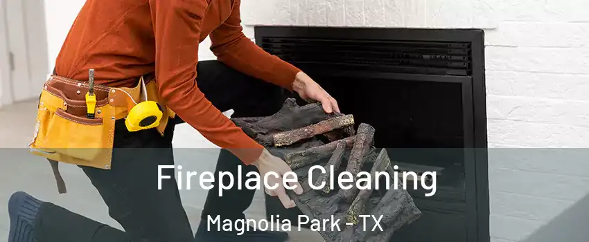 Fireplace Cleaning Magnolia Park - TX