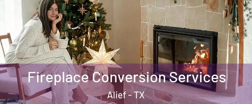 Fireplace Conversion Services Alief - TX