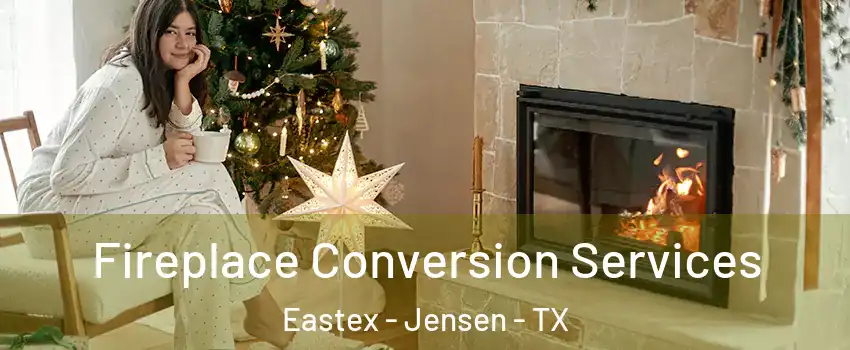 Fireplace Conversion Services Eastex - Jensen - TX