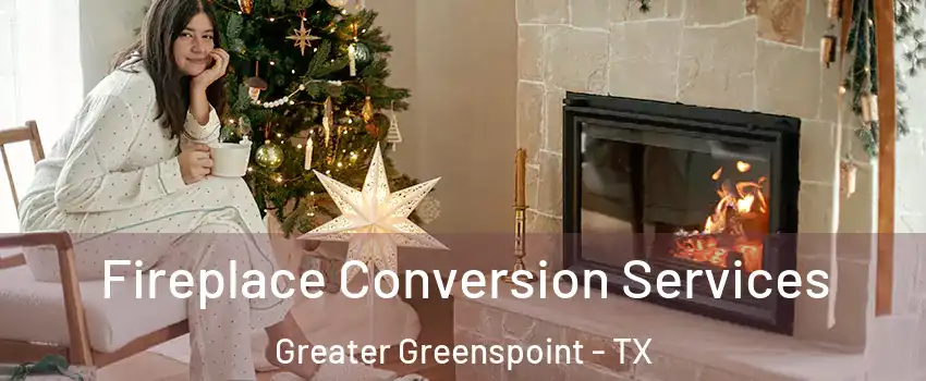 Fireplace Conversion Services Greater Greenspoint - TX